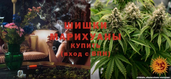 МДПВ Алексеевка